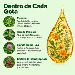 Velavir® Drenaje Linfatico | Gotas Sublinguales