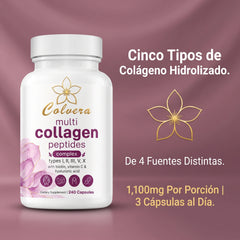 Colvera™ Colageno Hidrolizado 5 en 1 | Capsulas