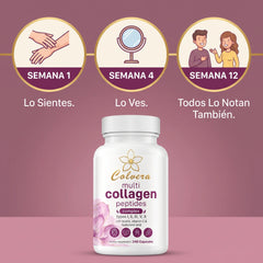 Colvera™ Colageno Hidrolizado 5 en 1 | Capsulas