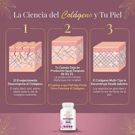 Colvera™ Colageno Hidrolizado 5 en 1 | Capsulas